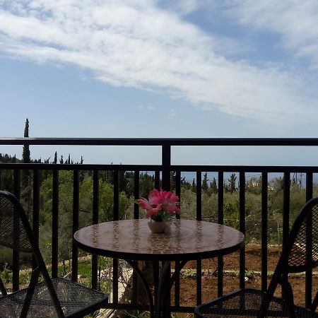 Rodon Apartments Tsoukaládhes Екстериор снимка